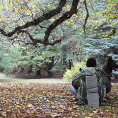 On Survit Original Soundtrack