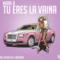 Mark B   Tu Eres La Vaina - (Intro+Sample) 110bpm (BY @DjGamcho)