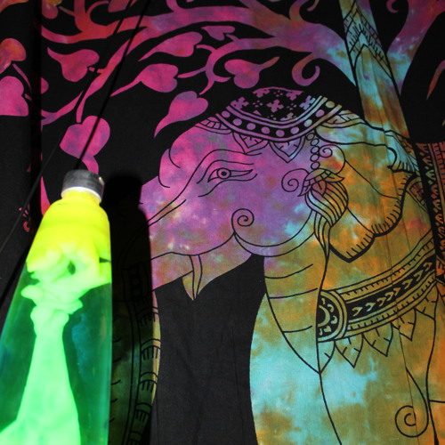 Mac DeMarco - HACHIKO