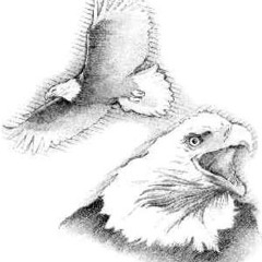 Los 7 Nombres Compuestos De Jehova