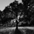 Artwork for The Cure -A forest (almost instrumental mix)