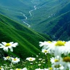 الشيخ حسين ال الشيخ - من أجمل ما سمعت