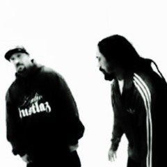 B Real & Damian Marley - "Fire" (FLeCK Remix)