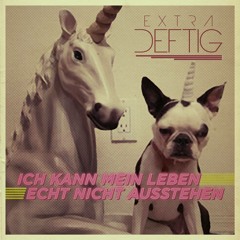 Ich Kann Mein Leben Echt Nicht Ausstehn