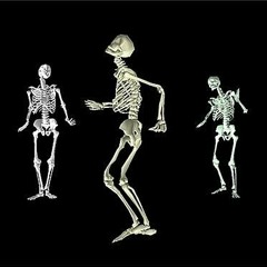 Mr. Progenesis-Minimal techno full set