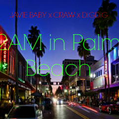 2 AM In Palm Beach Ft. C So Raw and DigDig