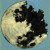 Artwork for II. the eagle has landed