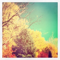 A Walk In The Park