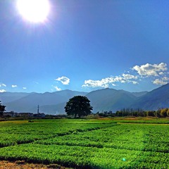 The City Of Hippie(DaLi YunNan China) drum & Bass