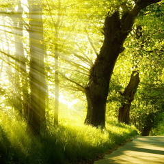 John Foxx & Harold Budd - Subtext