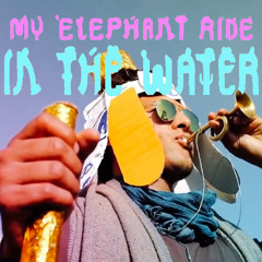 My Elephant Ride - In The Water