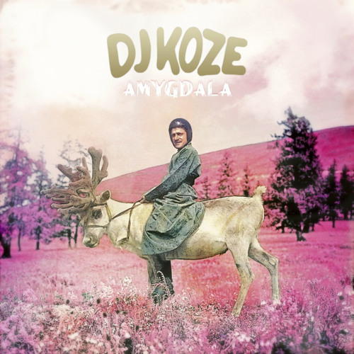 DJ Koze - Knee On Belly
