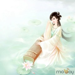 Hoa Tam - Truong Tinh Dinh