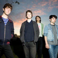 Beach Fossils