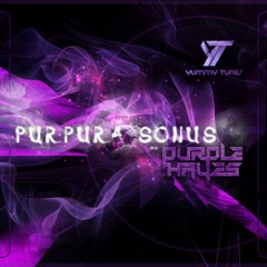 Purpura Sonus By Purple Hayes - Sample Pack (Out Now!)