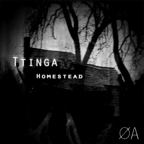 Ttinga - Homestead Ep -Out Soon  as re-release on 12 inch 2021 fall