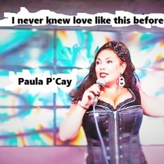 Never Knew Love Like This Before -Paula P'Cay(pure and simple vocal mix)