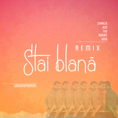 Soundopamine - Stai Blana (CharlieBoyTheRabbitKing Remix)