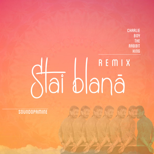 Soundopamine - Stai Blana (CharlieBoyTheRabbitKing Remix)