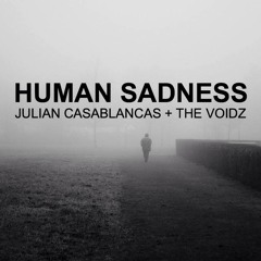 Human Sadness (Julian Casablancas & The Voidz cover)