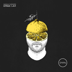 Sasha Carassi - Citrus (Original Mix)