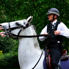 Конная и мотоциклетная полиция в мире. Справка Радио Вести