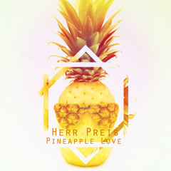 Herr Preis - Pineapple Love (Radio Edit) [Free Download]