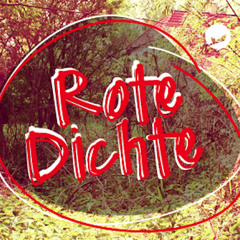 Luis Hill - Rote Dichte Festival, 11 July 2015