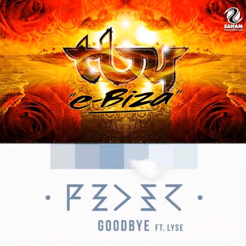 TNT & Feder - Goodbye E-Biza (T-Nikko Mash up)