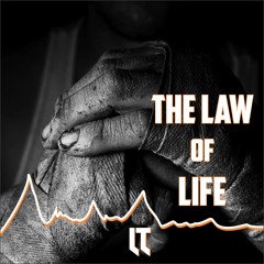 L.T - The Law Of Life (Original Mix)