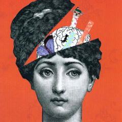 My Brain Is Fucking Distorsion ----(Free download)----