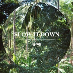 Slow It Down