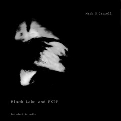 'Black Lake and EXIT' - (electric cello)