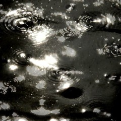 E Aktion  / Le Cose Bianche   −White