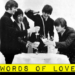 THE BEATLES - Words Of Love (Cover)