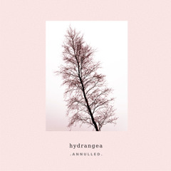 Hydrangea - Dawn Lights | ANNLP01 (Album)