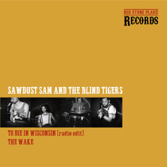 To Die In Wisconsin {Radio Edit}