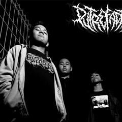 putrefaction - Processing Of Decay