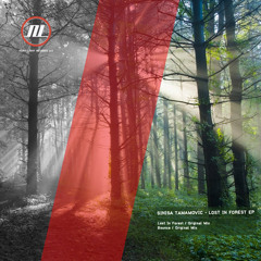 Sinisa Tamamovic - Lost In Forest - Night Light Records