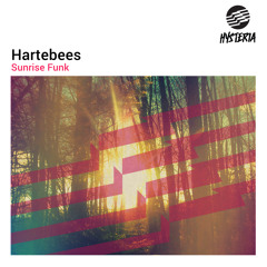 Hartebees - Sunrise Funk (OUT NOW)
