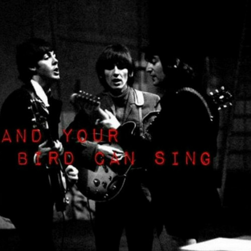 Stream THE BEATLES And Your Bird Can Sing (Cover) by gregvr Listen