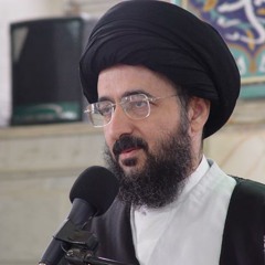 منهج اللاعنف في الحياة - آية الله الفقيه السيد محمد رضا الشيرازي