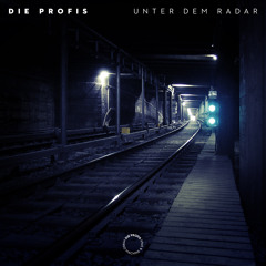 Die Profis - Fundament