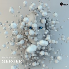 TN Sounds - Merger