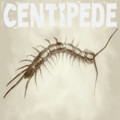 Centipede - Original Mix (KONY)