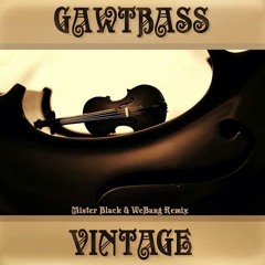 GAWTBASS - Vintage (We Bang And Mister Black Remix) *Free Download*