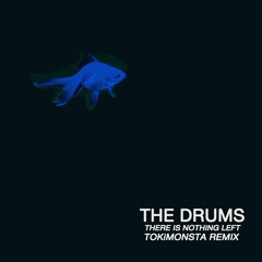 The Drums - There Is Nothing Left (TOKiMONSTA Remix)