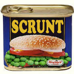 Scrunt