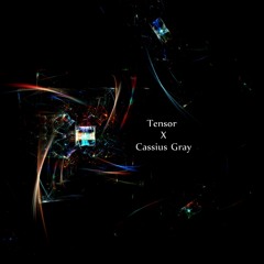 Tensor X Cassius Gray- All The Reiterations
