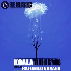 Koala - Landing In The Fog (Raffaello Bonaga Remix) Blue Orb Records (BOR062)